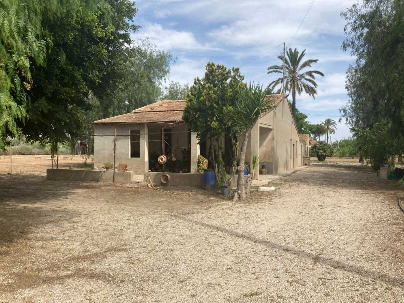 House in Elche, Valencian Community 11146367