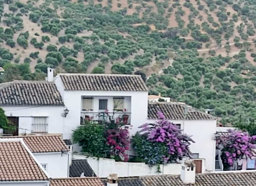 Hus i Algodonales, Andalusien 11146871