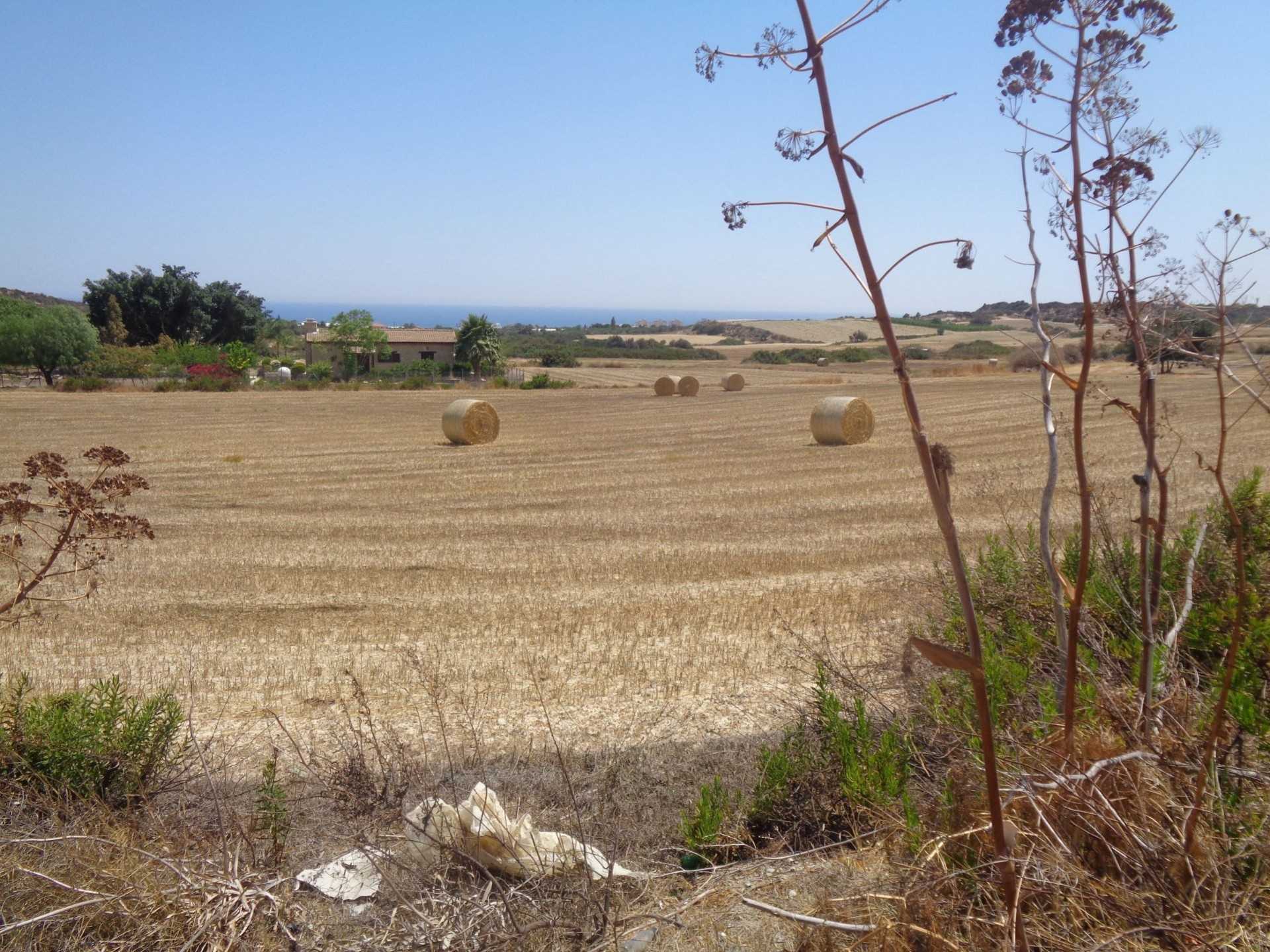 Tanah dalam Zygi, Larnaka 11147478