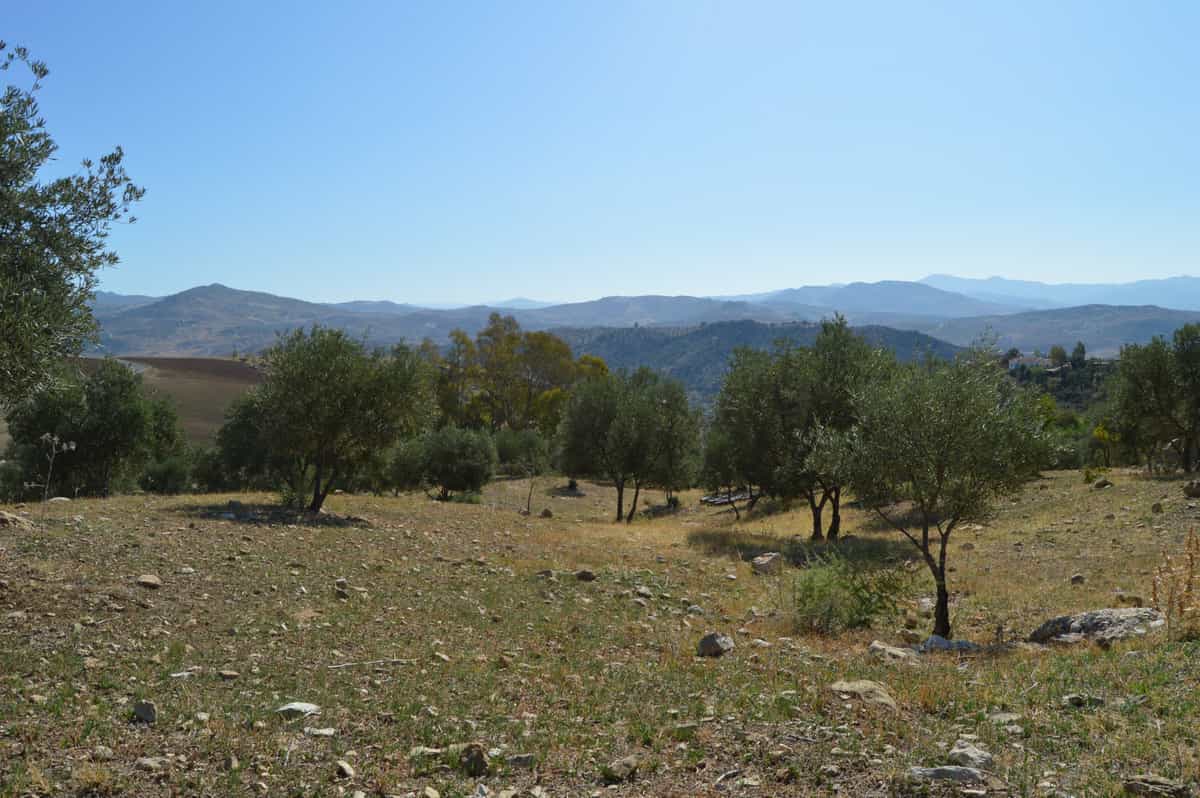 Land in Pizarra, Andalusia 11149074