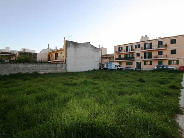 Land in Binisalem, De Balearen 11149394