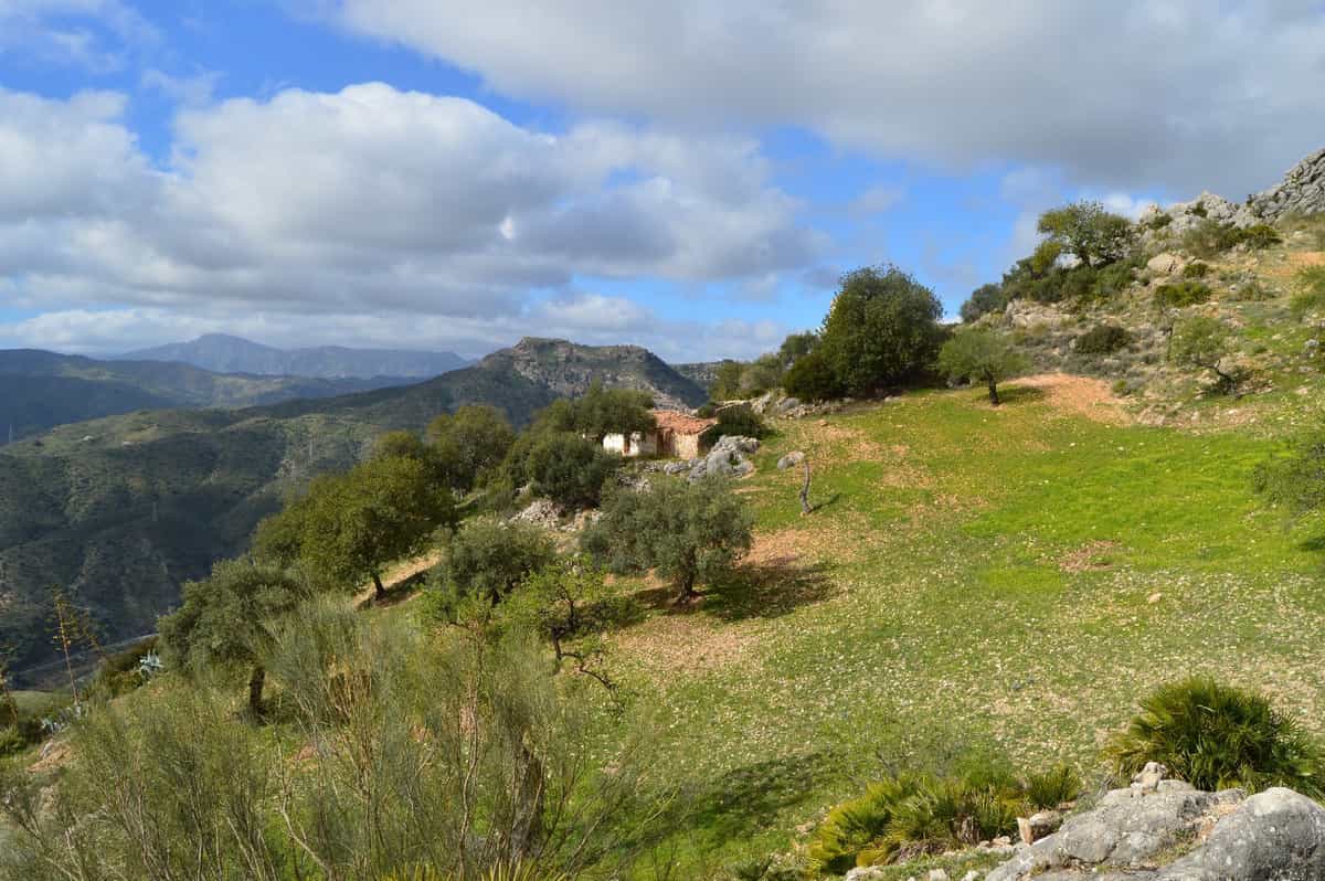 Land in El Chorro, Andalucía 11150137