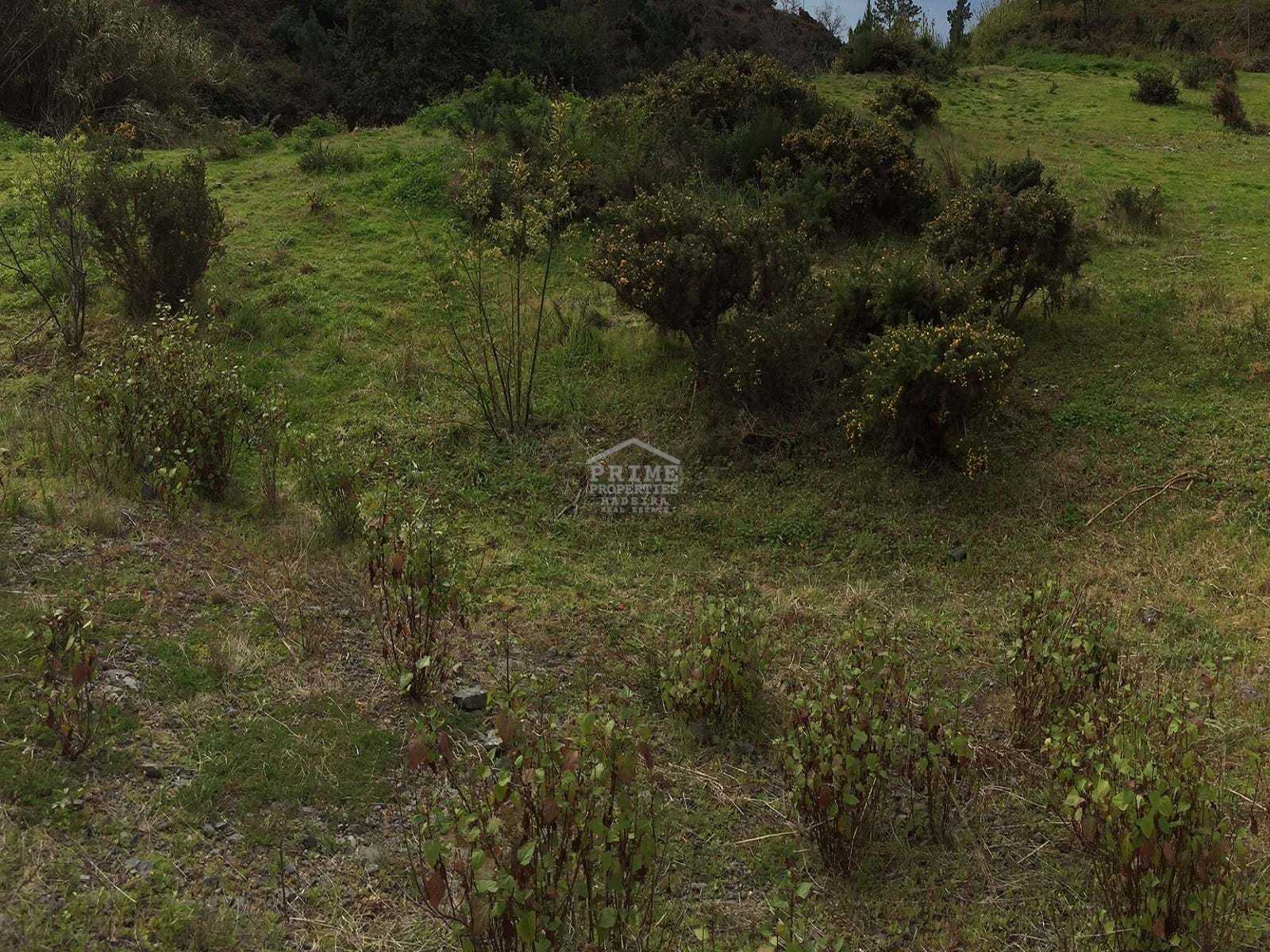 Land in Corujeira de Dentro, Madeira 11150341