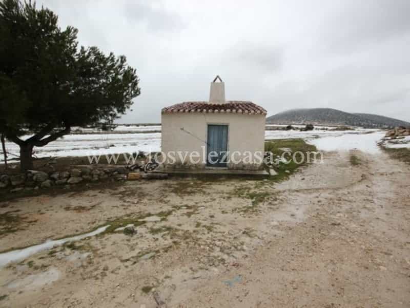 House in Velez Blanco, Andalusia 11153054