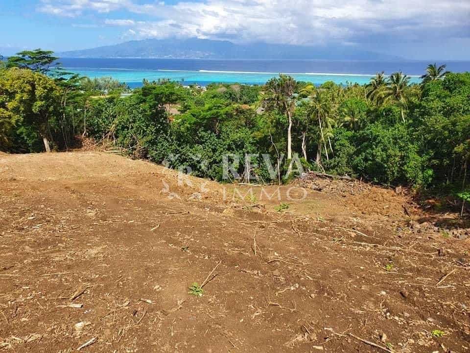 Terre dans Papeete, Iles du Vent 11153759