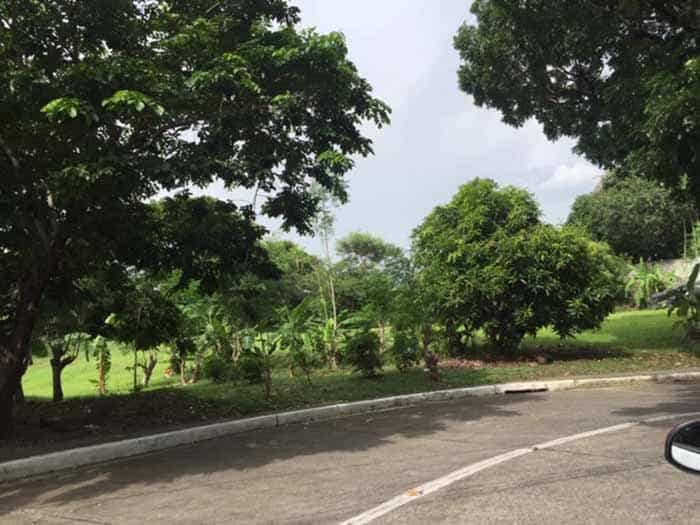 Terre dans Village des collines d'Alabang, Rizal 11153888