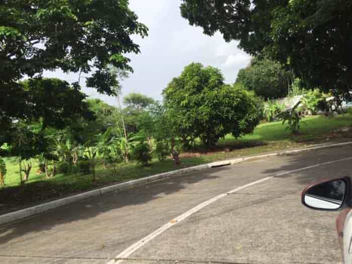 Land i Alabang Hills Village, Rizal 11153888