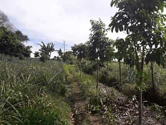 Tanah di Iruhin, Cavite 11153981