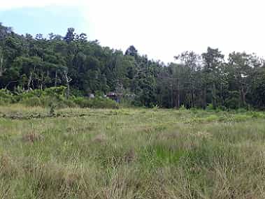 Tanah dalam San Vicente, Palawan 11154094