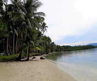 Land im San Vicente, Palawan 11154094