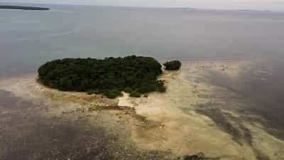Terra no União, Surigao del Norte 11154095