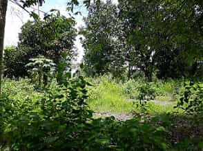 Tanah dalam Quitanpuil, Pampanga 11154340