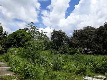 Land in Mabalacat, Central Luzon 11154340