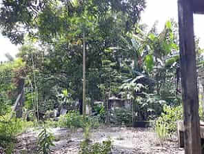 Tanah dalam Quitanpuil, Pampanga 11154340