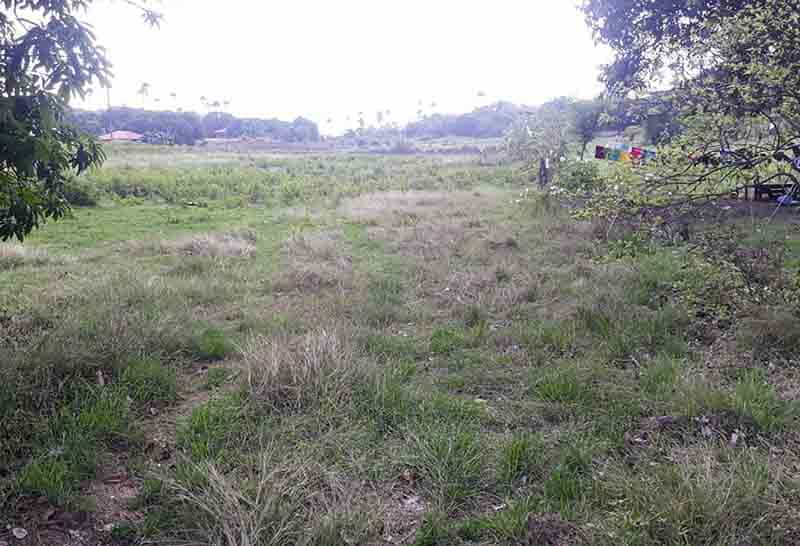 Land in Gulod, Batangas 11154481