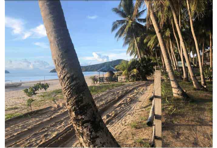 Land in Nacpan, Palawan 11154548