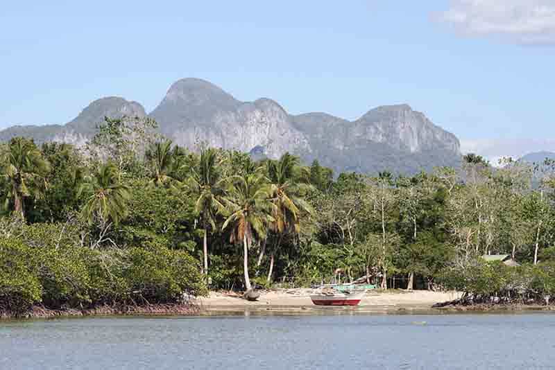 Land in Puerto Princesa, MIMAROPA 11154583