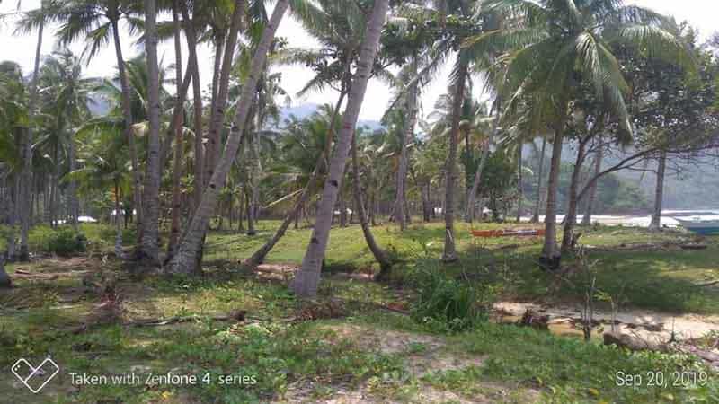Land in Locaroc, Palawan 11154790