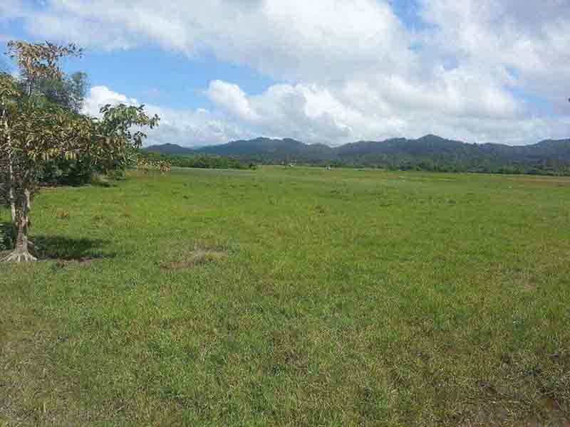 Tanah dalam San Vicente, Palawan 11155011