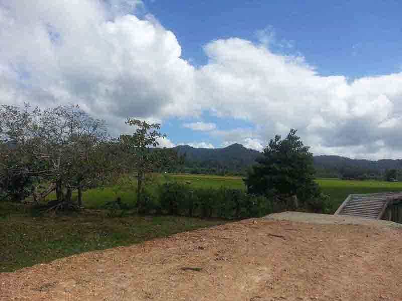 Land im San Vicente, Palawan 11155011