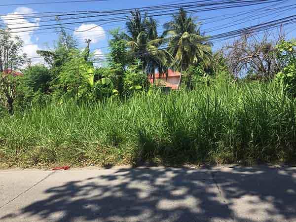 Land in Aaat, Negros Oosters 11155046