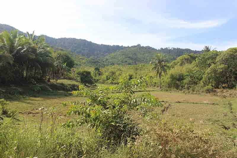 Land i Locaroc, Palawan 11155130