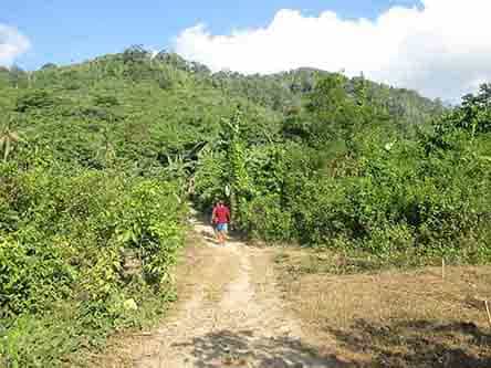 Land in Locaroc, Palawan 11155131