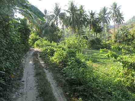 Land im Locaroc, Palawan 11155131
