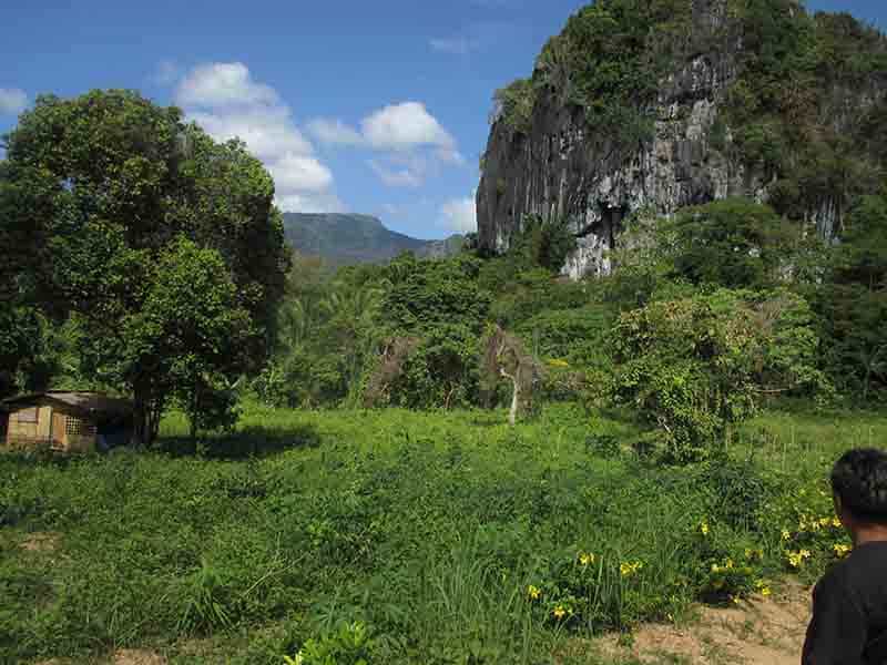 Land in El Nido, Palawan 11155132