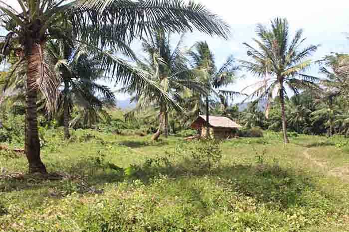 Tanah di El Nido, Palawan 11155134