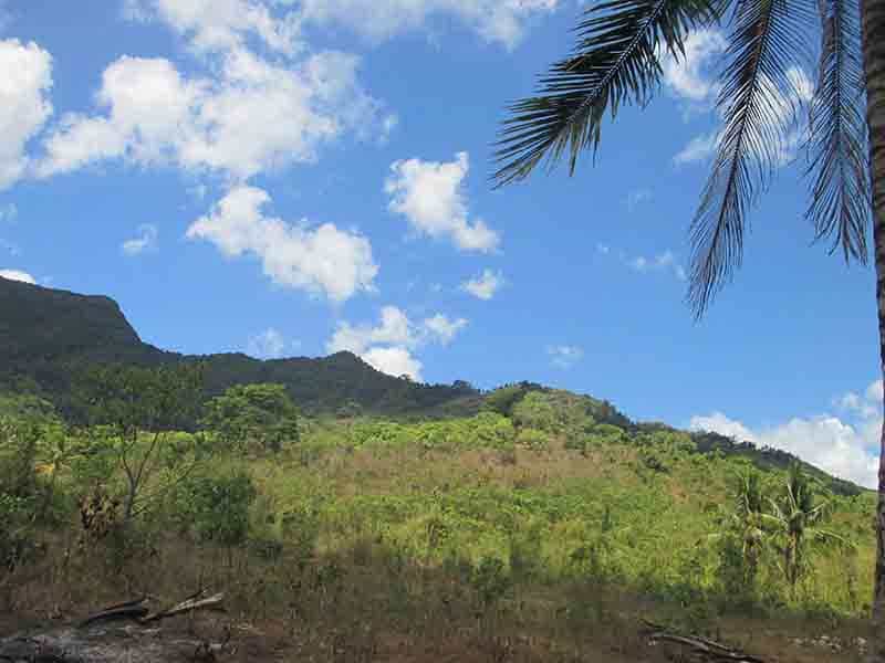 Tanah dalam El Nido, Palawan 11155134