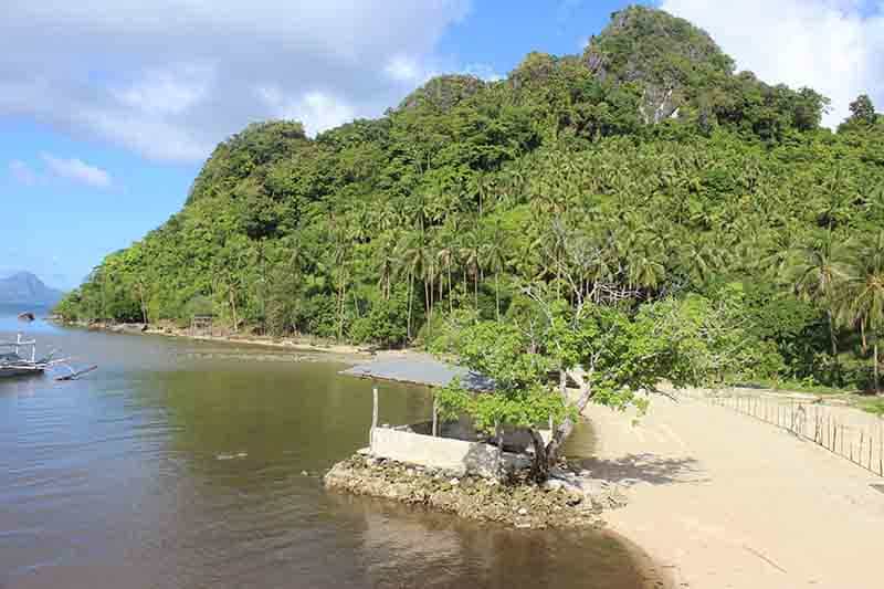 Tanah dalam El Nido, Palawan 11155136