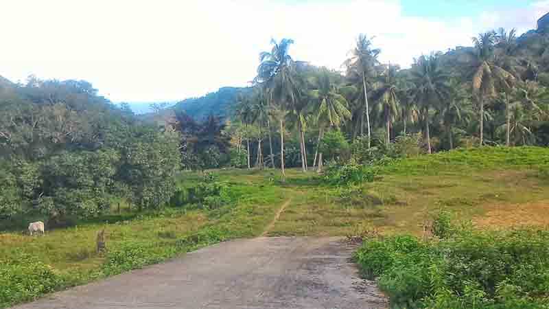Tanah di Cantao-an, Cebu 11155145