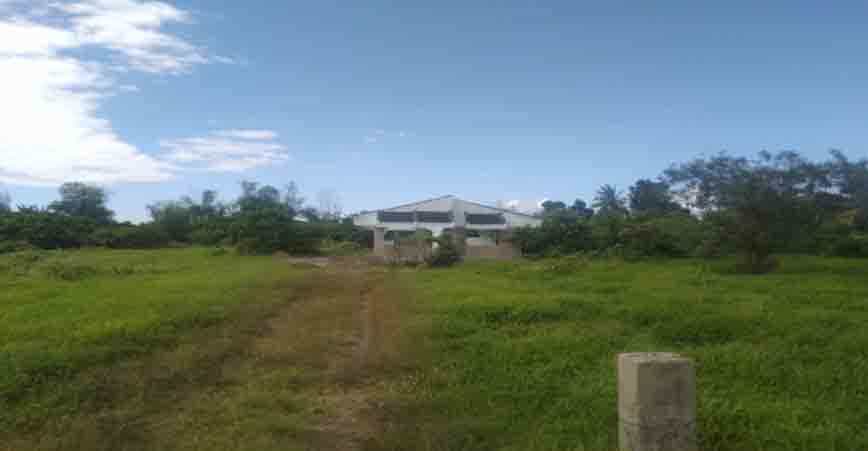 Tanah di Mayapap Sur, Nueva Ecija 11155156