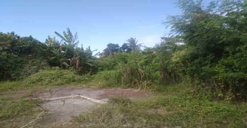 Land in Mayapyap Sur, Nueva Ecija 11155156