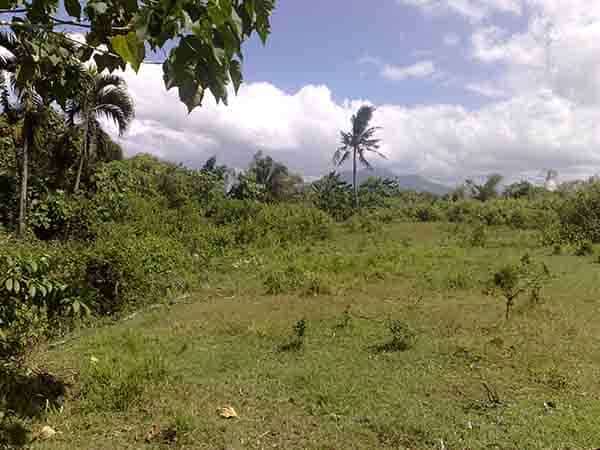 Land im Majada Labas, Laguna 11155200