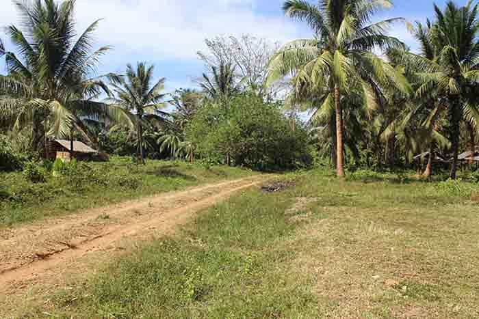 Land im El Nido, Palawan 11155225