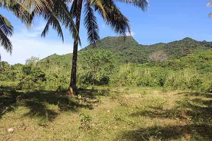 Tanah dalam El Nido, Palawan 11155225