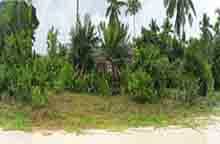 ארץ ב San Vicente, Palawan 11155368
