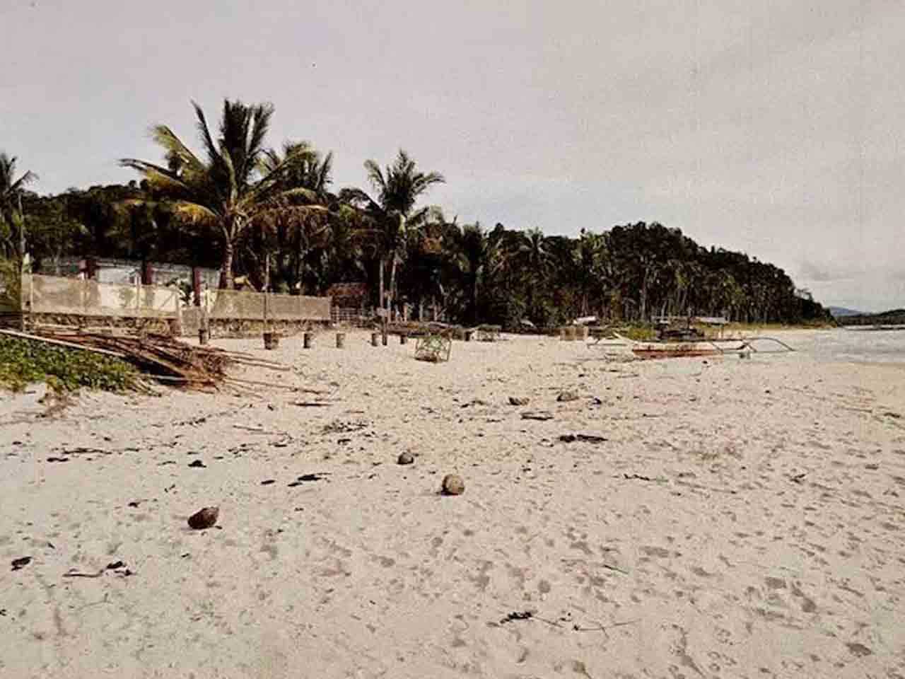 Tanah dalam San Vicente, Palawan 11155692