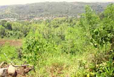 Terre dans Bugo, Cagayán de Oro 11155747
