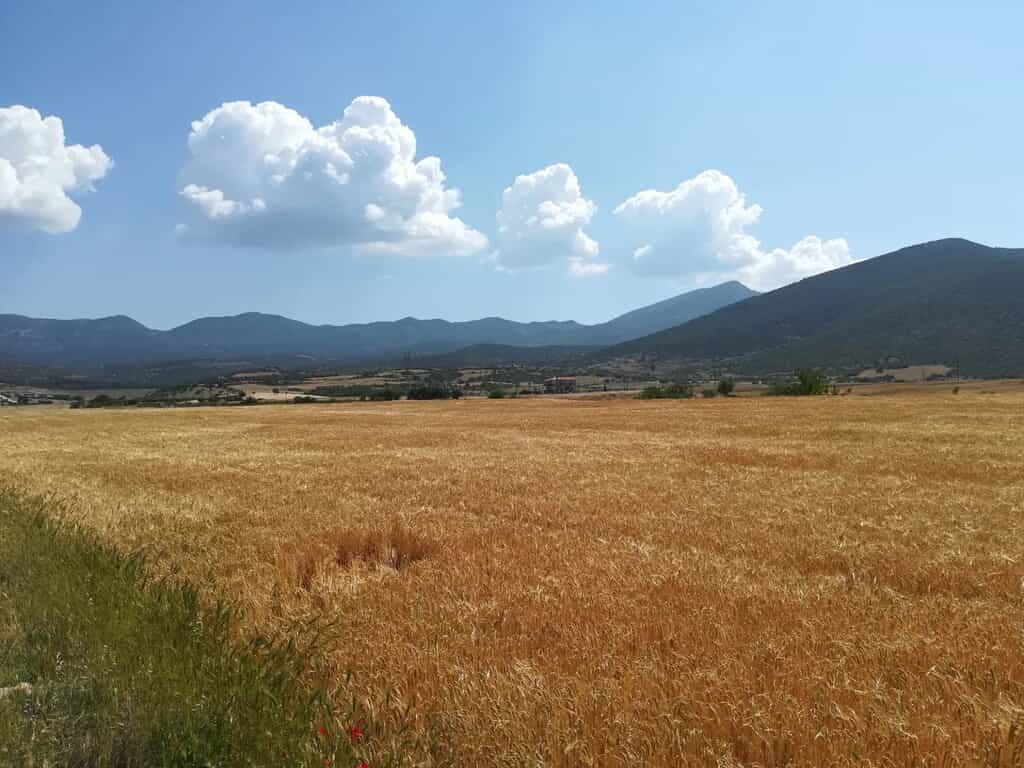 Tanah dalam Vasilika, Kentriki Makedonia 11157366