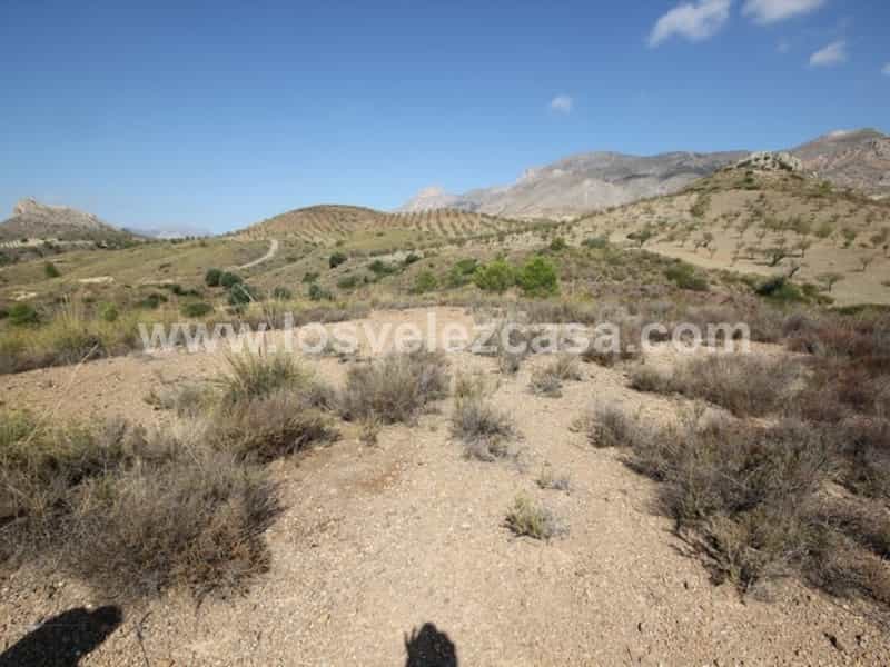 Land in Velez Rubio, Andalusië 11158000