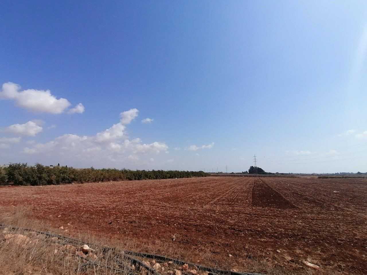 Land in Ormideia, Larnaka 11160983