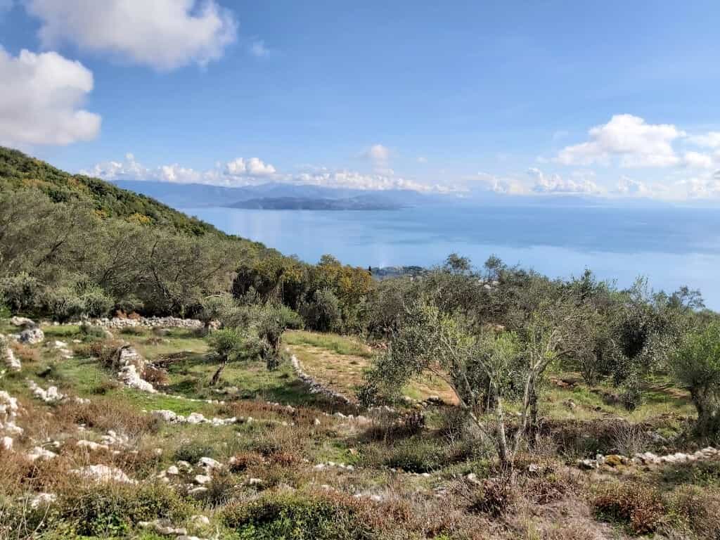 Terra no Ágios Markos, Ionia Nísia 11161435