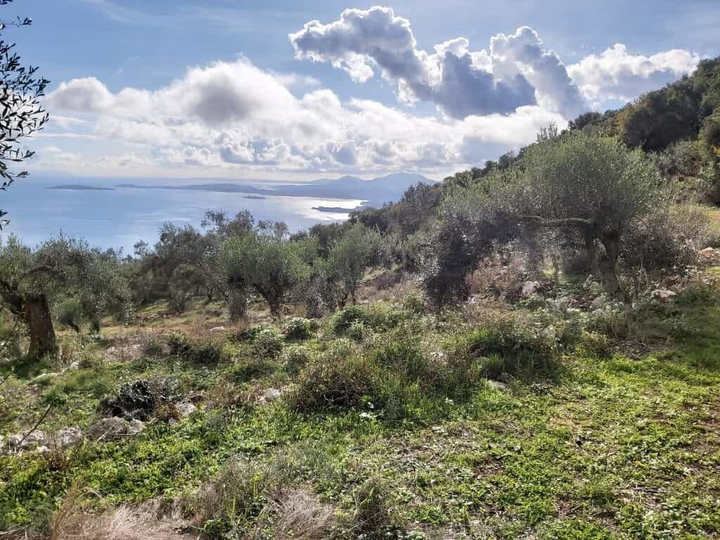 Tanah dalam Agios Markos, Ionia Nisia 11161435