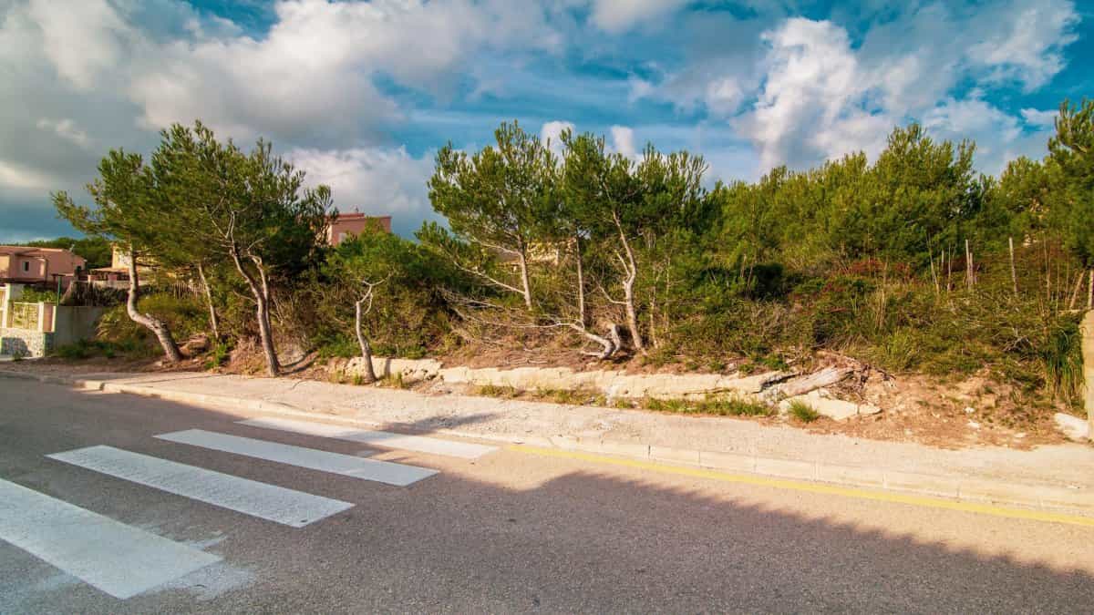 Land in Capdepera, Illes Balears 11161906