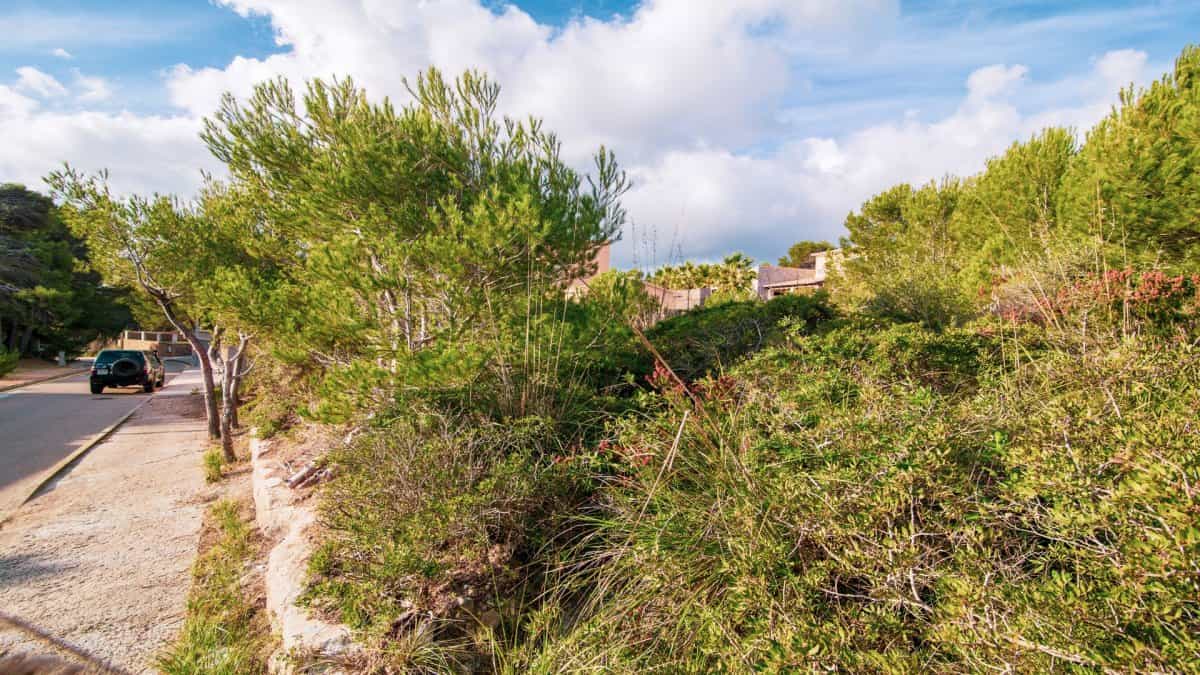 Land in Capdepera, Illes Balears 11161906