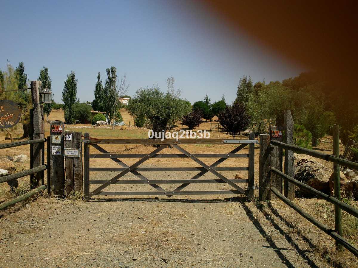 Land in Archidona, Andalusia 11162397