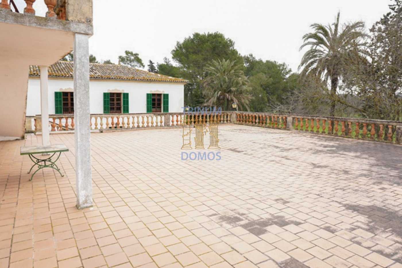 House in , Illes Balears 11163695